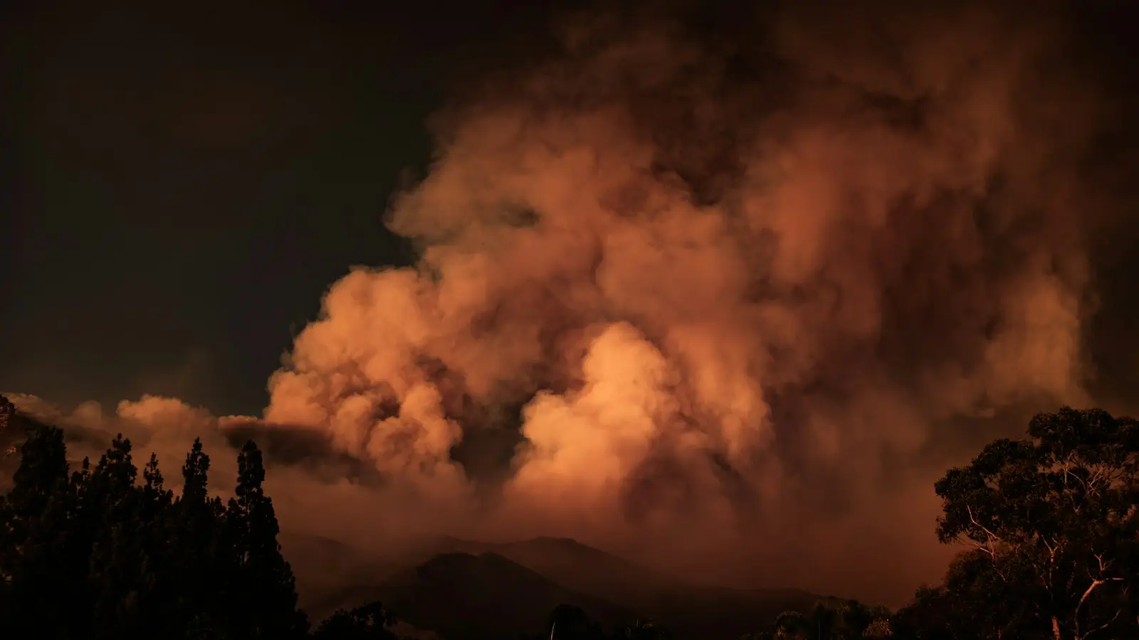Wildfire smoke rising over a forested hillside at dusk